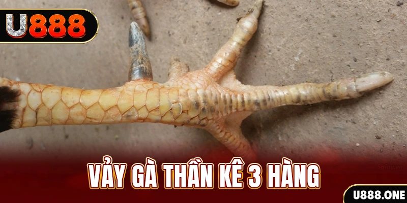 xs9988 nổ hũ đổi thưởng . ai