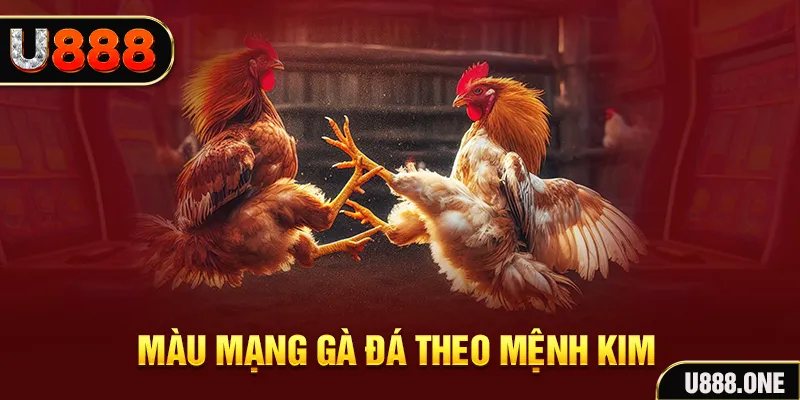 xs9988 gà chọi tiêu phong
