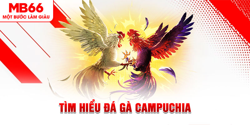xs9988 tại sao không tải được nổ hũ