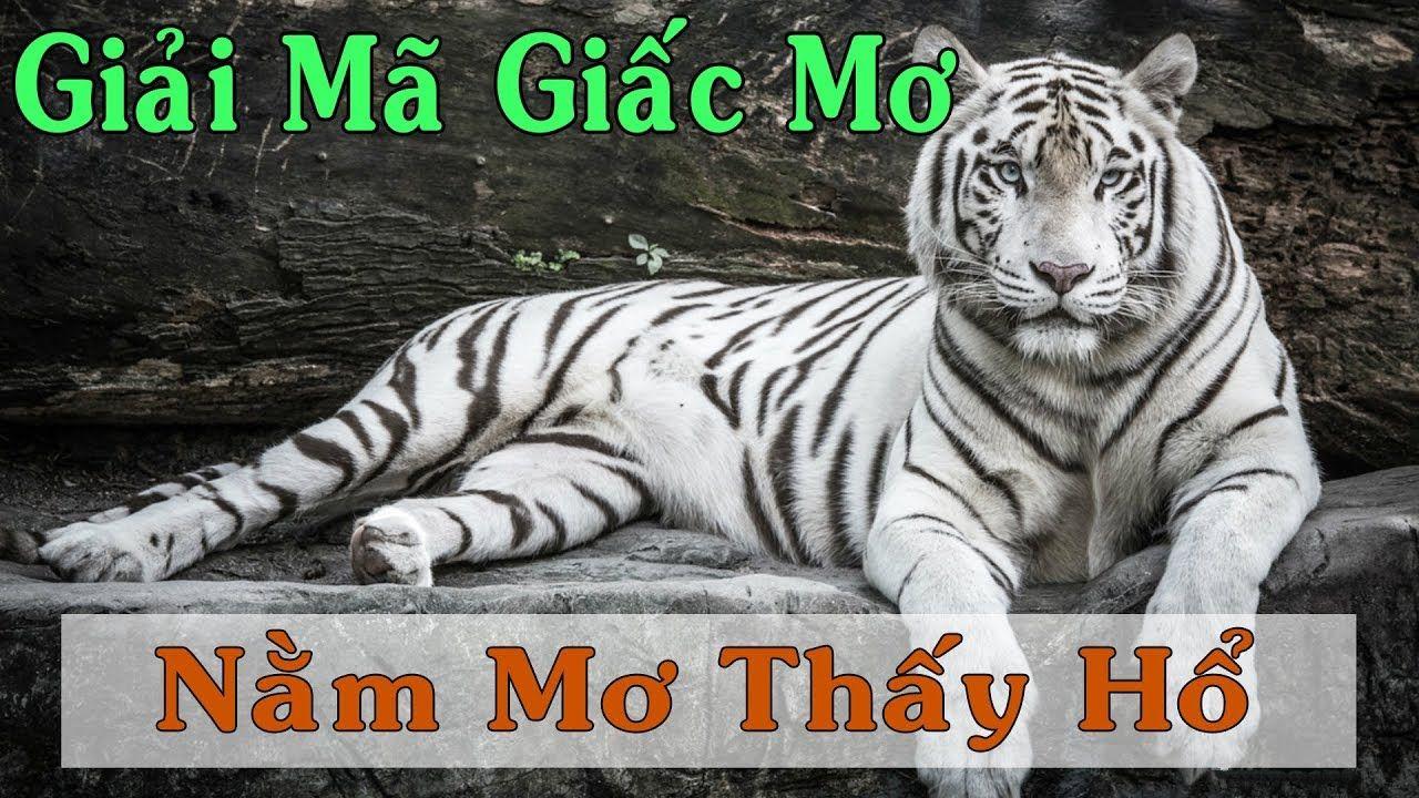 xs9988 xổ số miền trung