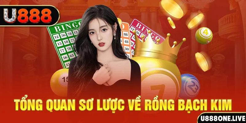 xs9988 how to win at slot machines