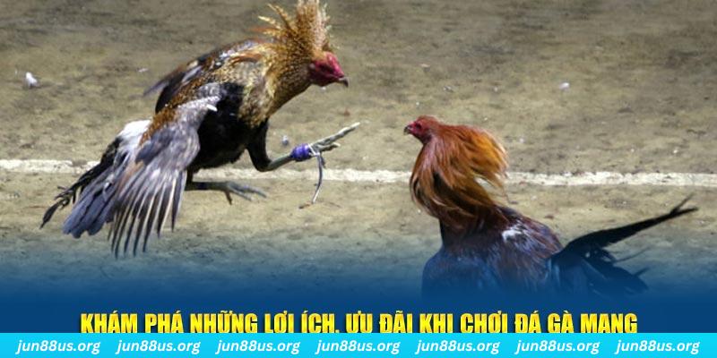 xs9988 Tài Xỉu 2