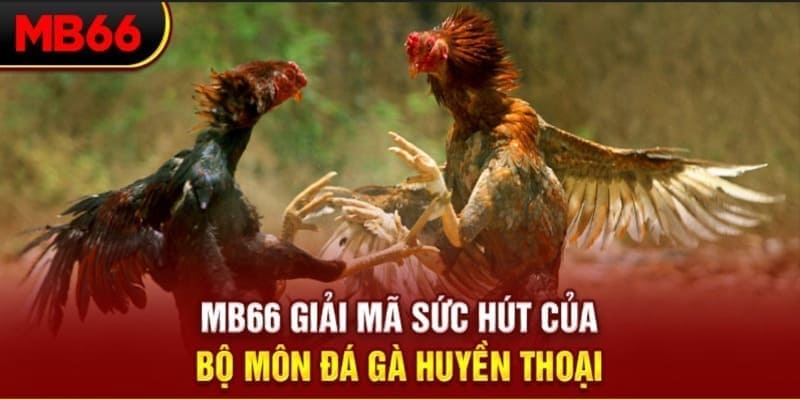 xs9988 long bảo trong baccarat là gì