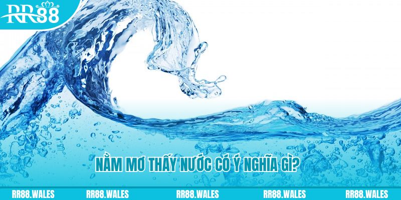 xs9988 đá gà trực tiếp thomo