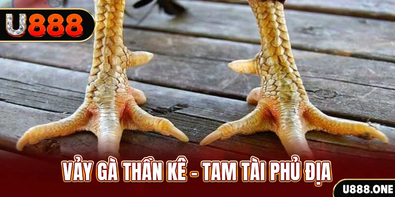 xs9988 xổ số 30 ngày