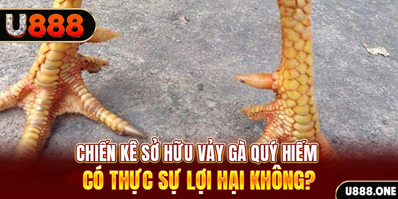 xs9988 game cá cược máy bay