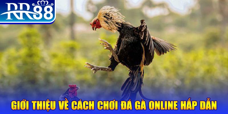 xs9988 nổ hũ 2 mặt là gì