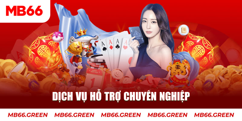 xs9988 gà chọi cậu thanh