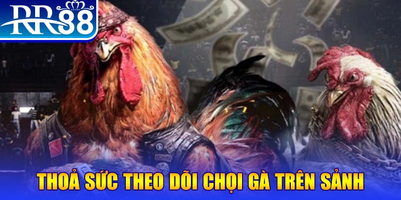 xs9988 NE Điện Tử
