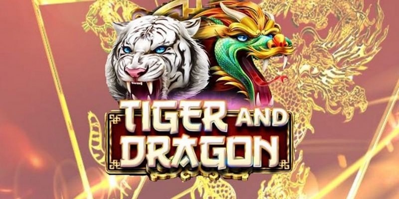 xs9988 cá cược tiếng anh là gì