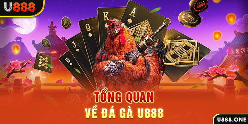 xs9988 what is casino bonus wagering